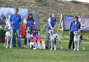 Dogos Alemanes Galería Fotográfica
