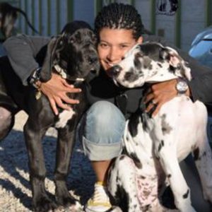 Dogos Alemanes Galería Fotográfica