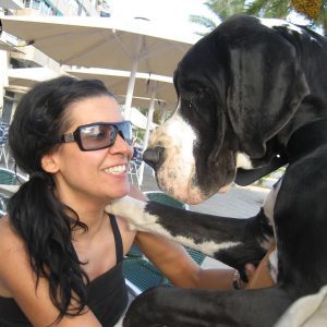 Dogos Alemanes Galería Fotográfica