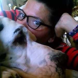 Dogos Alemanes Galería Fotográfica