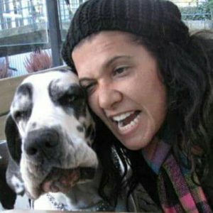 Dogos Alemanes Galería Fotográfica