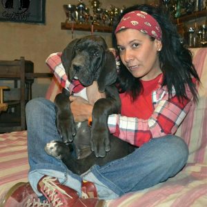 Dogos Alemanes Galería Fotográfica