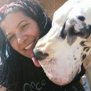 Dogos Alemanes Galería Fotográfica