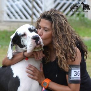 Dogos Alemanes Galería Fotográfica