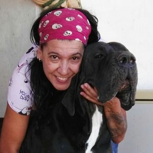 Dogos Alemanes Galería Fotográfica