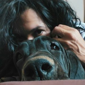 Dogos Alemanes Galería Fotográfica
