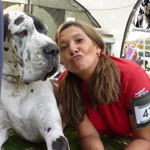 Dogos Alemanes Galería Fotográfica