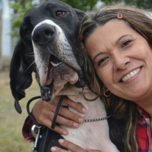 Dogos Alemanes Galería Fotográfica