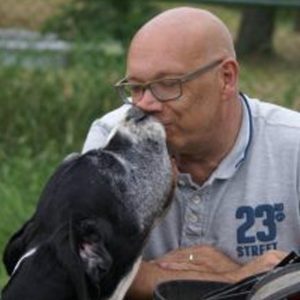 Dogos Alemanes Galería Fotográfica
