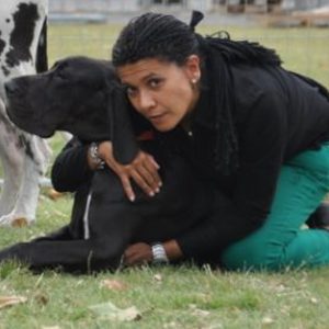 Dogos Alemanes Galería Fotográfica