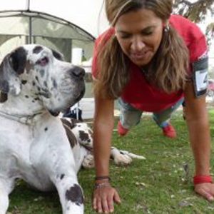 Dogos Alemanes Galería Fotográfica