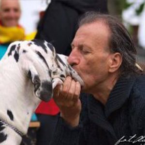 Dogos Alemanes Galería Fotográfica