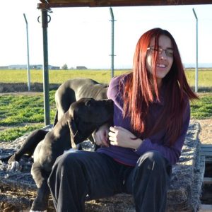 Dogos Alemanes Galería Fotográfica