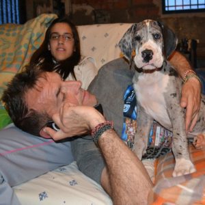 Dogos Alemanes Galería Fotográfica