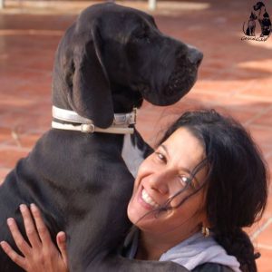 Dogos Alemanes Galería Fotográfica