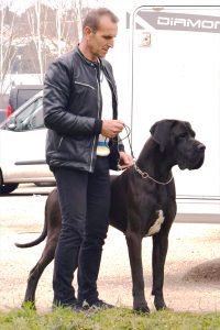 Dogo Alemán Negro Shikhar du Cerbere d´Eyjeaux